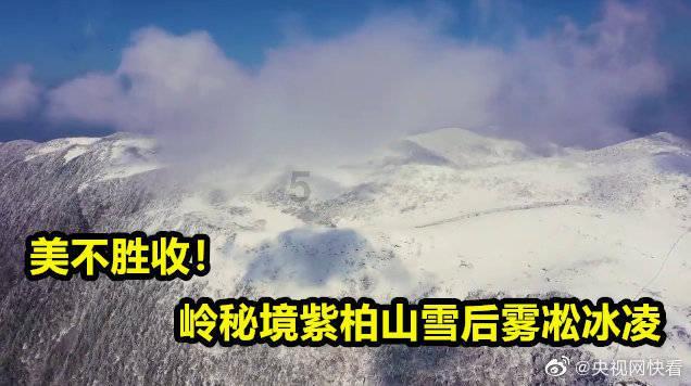 短裙季节